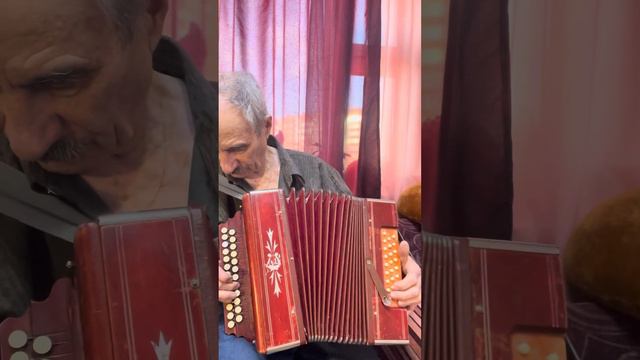 Шуйская гармонь