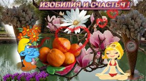 С Добрым Утром !!!