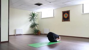 Каучуковый коврик для йоги премиум класса ART Yogamatic ? Тест-драйв от ⭐ SLAVYOGA