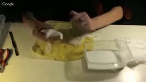 Анна Зайцева гном из ваты