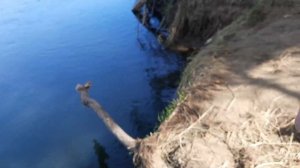 Рыбалка на реке Зеркальной. Ловим кету.