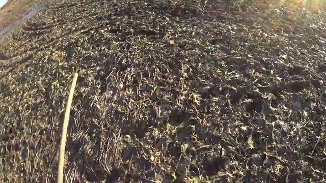 Первый лед растаял, а второй еще не окреп. Проверяем толщину льда пешней. смотреть онлайн