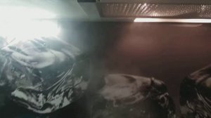 Weissgauff TEL 06 2M WH  УЖАС