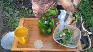 Ферментированные огурчики на зиму
