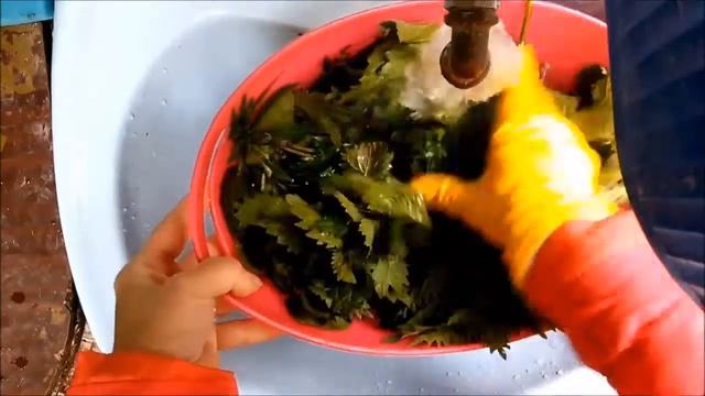 VLOG: Щи из крапивы и пдорожника смотреть онлайн