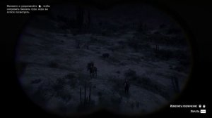 Изучение животных Нью-Остина за Артура Моргана во 2 главе Red Dead Redemption 2