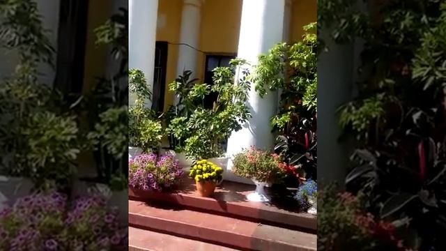монастырь Хынку. молдова