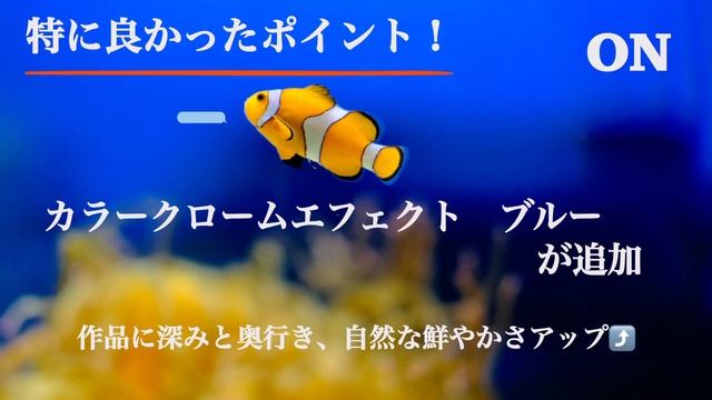 ＜最速レビュー＞FUJIFILM　X-T30Ⅱ使用レポート！（撮影した写真も紹介します♪） смотреть онлайн