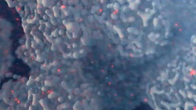 Фильтр Гейзер БИО лучше нет смотреть онлайн