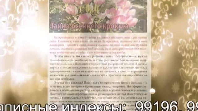 "Сад-огород" №10(54) смотреть онлайн