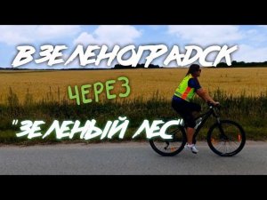 Из Калининграда в Зеленоградск через ,, Зелёный лес,, на велосипедах ✌️