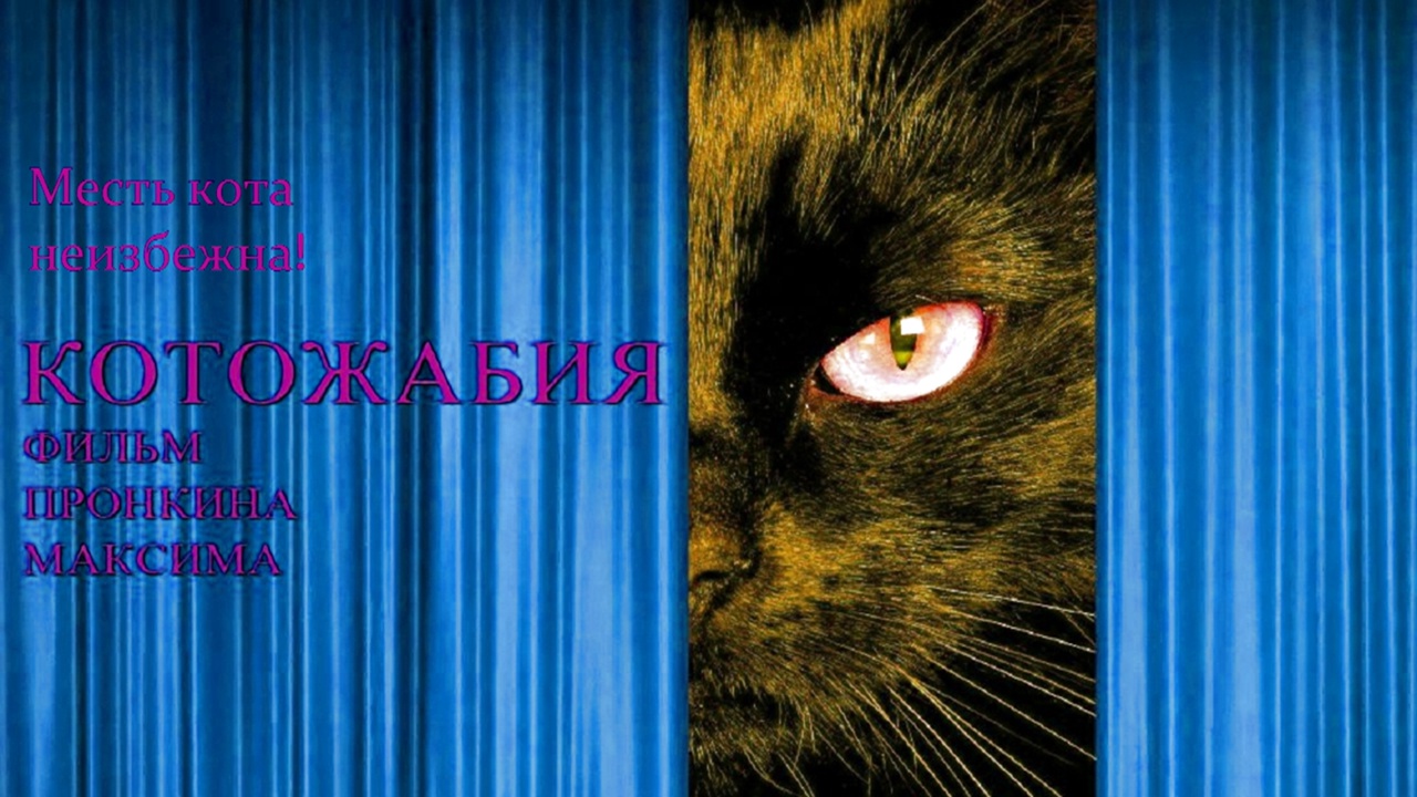 Котожабия (ужасы) (2019)