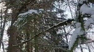 Красивая агулская песня