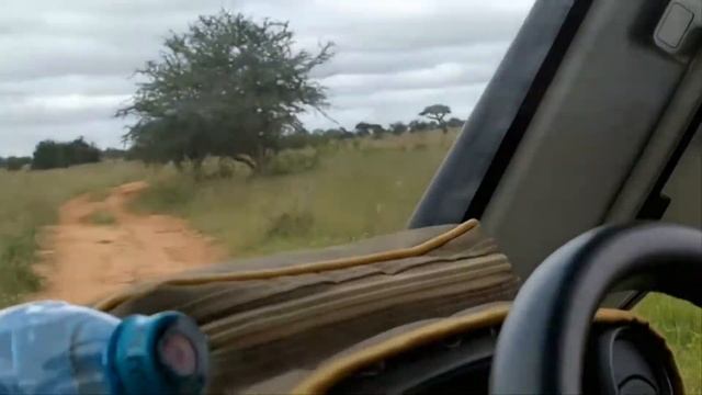 Kenya. Republic of Kenya. Jamhuri ya Kenya. В МИРАЖАХ КЕНИЙСКОЙ САВАННЫ и ИНДИЙСКОГО ОКЕАНА смотреть онлайн