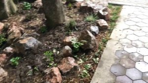 Казахстан 2021. Санаторий «Манкент» 2 корпус. Сады. Грустно расставаться