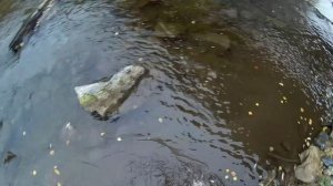 Речной коп. Часть 1.mp4