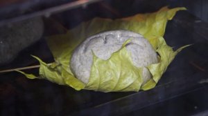 Выпечка хлеба на кленовых листьях