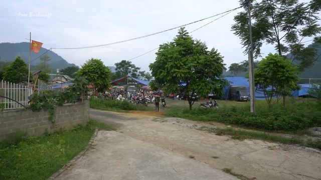 Harvesting Turmeric Goes to market sell, fertilize vegetables | Tiểu Vân Daily Life смотреть онлайн