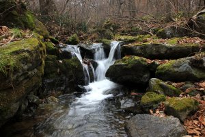 Судьба, как горный ручей: холодна, камениста, извилиста и никогда не знаешь — куда повернёт.