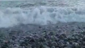 Отдых в Лоо, июль 2008 г., часть 1