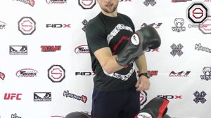 Краткий обзор перчаток перчаток Twins Special BGVL- 6