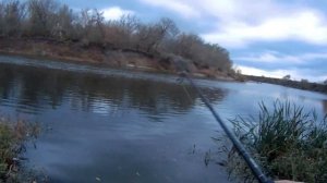 Рыбалка на спиннинг/Дошёл до места где река Воронеж впадает в реку Дону