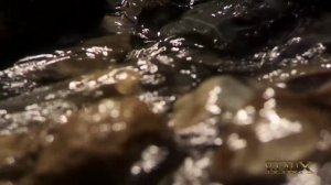 DJ Vini - Vision  (VJ AuX).mp4