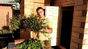 Проект баня - ? Березовый веник для бани - какой он должен быть и как его связать