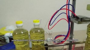 5 т/д Линия по розливу подсолнечного масла успешно установлена в Узбекистане