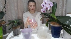 Какой горшок лучше для орхидеи?