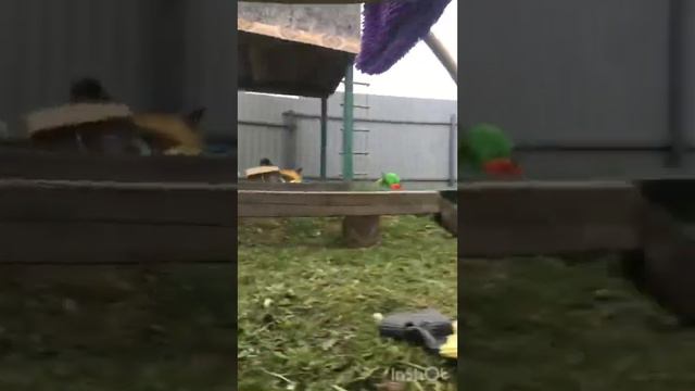 Экстремальные Прятки от МЕГА МОНСТРА смотреть онлайн