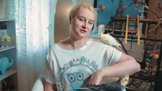 КЛЕТКА ДЛЯ ПОПУГАЯ | КАК ВЫБРАТЬ УДОБНУЮ КЛЕТКУ ДЛЯ ПОПУГАЕВ | ОБЗОР КЛЕТОК