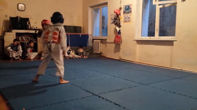 Моисей тхэквондо смотреть онлайн