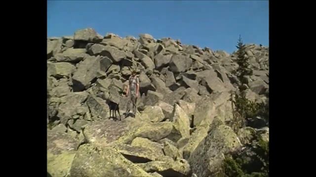 Усть-Пихтовка Чарышского района