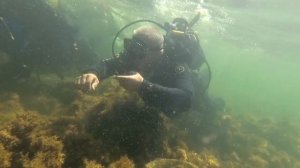 Первое погружение с аквалангом — Intro dive