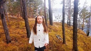 Стихотворение "Родина"