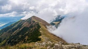 - Я ребенка по врачам не поведу, не хочу быть для него плохой, - заявила мне мама
