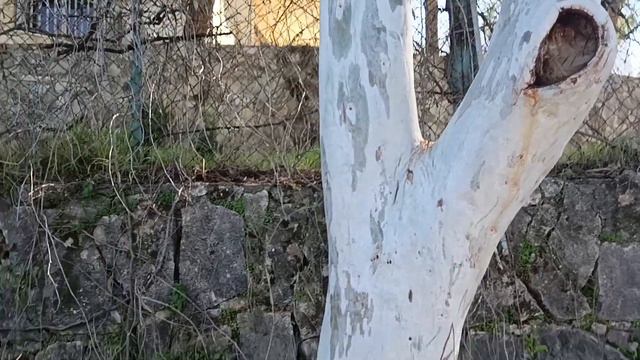 8 марта 2023 г. смотреть онлайн