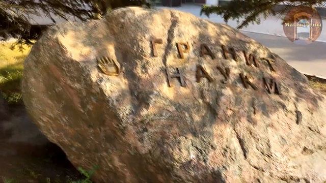 Кот учёный и гранит науки!