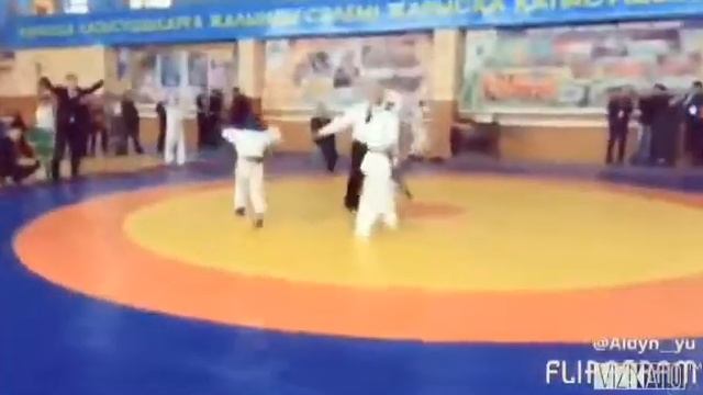 шинкиокушинкай каратэ