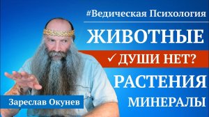 Есть ли у животных Душа? | Ведическая Психология.