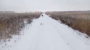 Алабай убийца или друг семьи, зачем они нужны, опасная собака! ответы на вопросы!!!