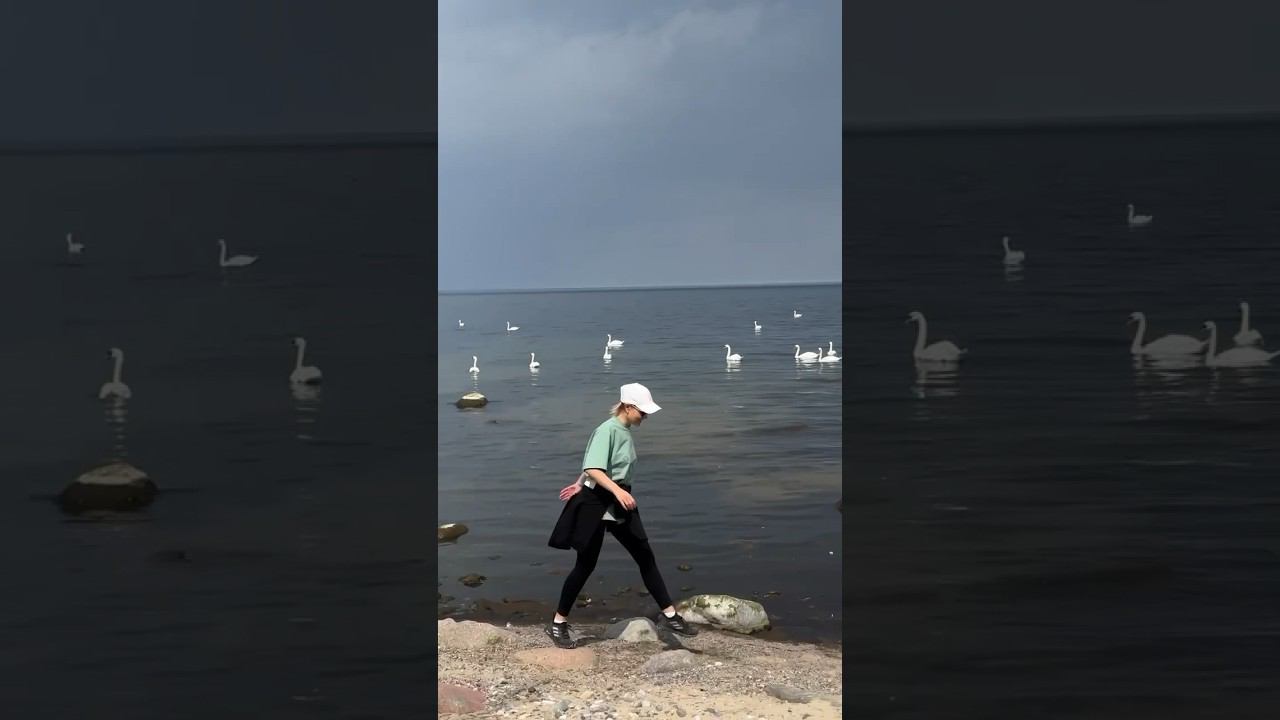 Работа выпускницы курса «УВИДЬ. СНИМИ. СМОНТИРУЙ». #душевноевидео #монтажвидео #reels #reels