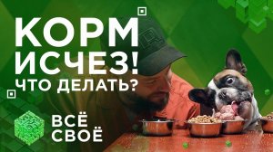 Всё своё. Чем будем кормить своих питомцев?