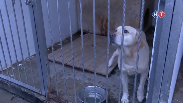 ВРЕМЯ НОВОСТЕЙ 29 января 2021 года смотреть онлайн