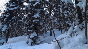 ПРИИСКОВЫЙ АНАМАЛЬНОЕ МЕСТО ДЛЯ СНЕГОХОДЧИКА