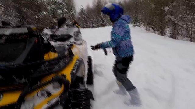 Едем кормить медведя часть 1 смотреть онлайн