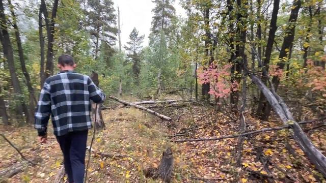 Шиндяевы: в лесу с родителями / Новый звук / одежда на осень смотреть онлайн