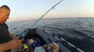 РЫБАЛКА В ЧЁРНОМ МОРЕ С ЛОДКИ / FISHING IN THE BLACK SEA FROM THE BOAT
