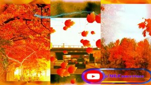 #MGConcertsee Алёна Росс и Виктор Могилатов - 🍁🍁Слёзы Сентября🍁🍁